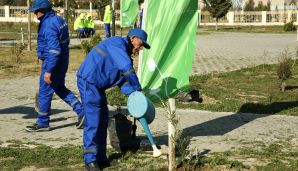 Dövlət Komitəsi “Konstitusiya və Suverenlik İli” çərçivəsində ağacəkmə aksiyası təşkil edib — foto 3