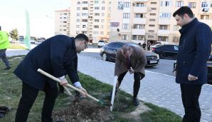 Dövlət Komitəsi “Konstitusiya və Suverenlik İli” çərçivəsində ağacəkmə aksiyası təşkil edib — foto 10