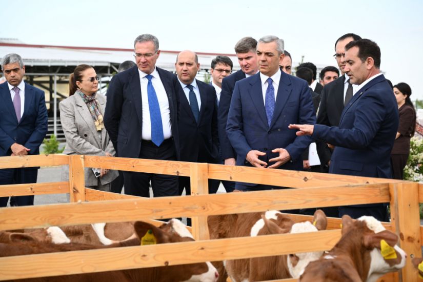 Xocalıda “Qoç Ət”in heyvandarlıq kompleksi ilə tanışlıq olub -     FOTO
