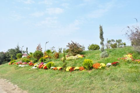 Abşeron rayonunda genişmiqyaslı abadlıq-quruculuq işləri davam etdirilir -    FOTOLAR — foto 1