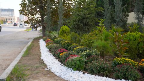 Abşeron rayonunda genişmiqyaslı abadlıq-quruculuq işləri davam etdirilir -    FOTOLAR — foto 22