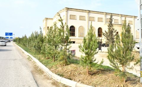 Abşeron rayonunda genişmiqyaslı abadlıq-quruculuq işləri davam etdirilir -    FOTOLAR — foto 16
