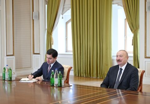 Prezident İlham Əliyev BMT-nin Sivilizasiyalar Alyansının ali nümayəndəsini qəbul edib — foto 7
